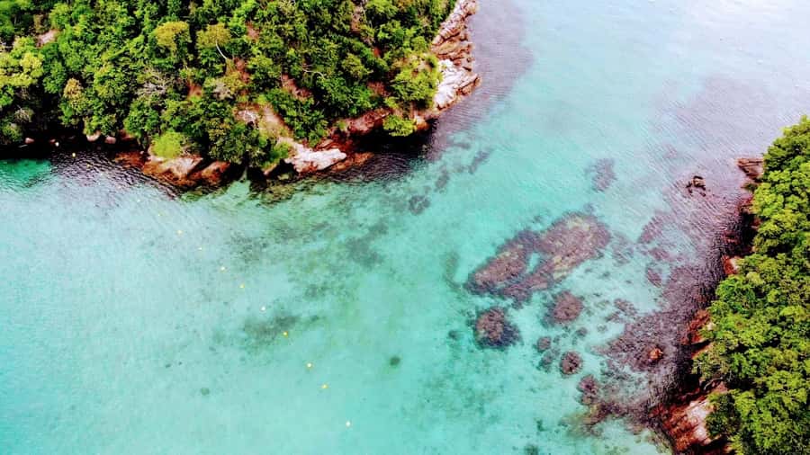 Ilha Grande: 6-Hour Speedboat Tour to Blue and Green Lagoons - Lagoa Verde: The Tide-Play Sandbank That Turns Into a Natural Aquarium