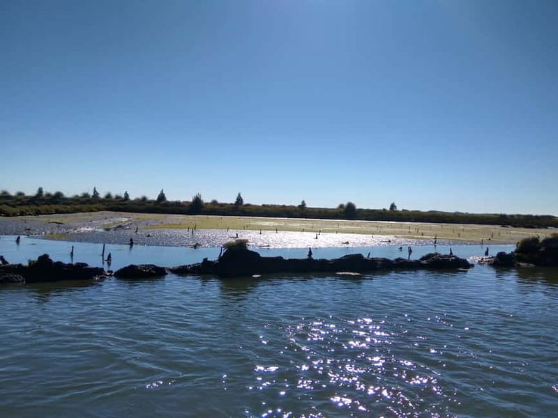 Industry or Nature Boat Tour | Speedboat - Key moments to look for