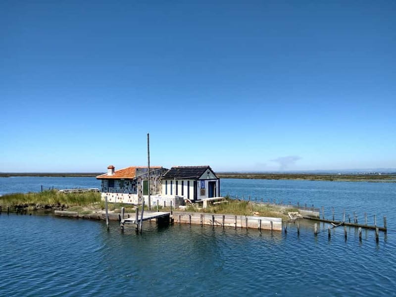 Industry or Nature Boat Tour | Speedboat - Starting at Praias da Ria: quick setup, real estuary energy