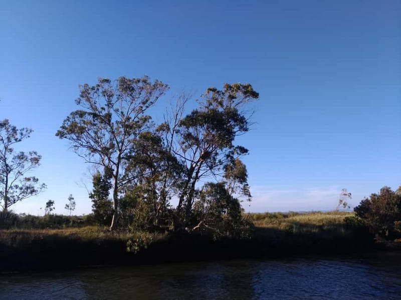 Industry or Nature Boat Tour | Speedboat - Industry route vs Nature route in the Ria de Aveiro