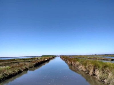 Industry or Nature Boat Tour | Speedboat - Passing the locks: why Aveiro’s floodgates matter