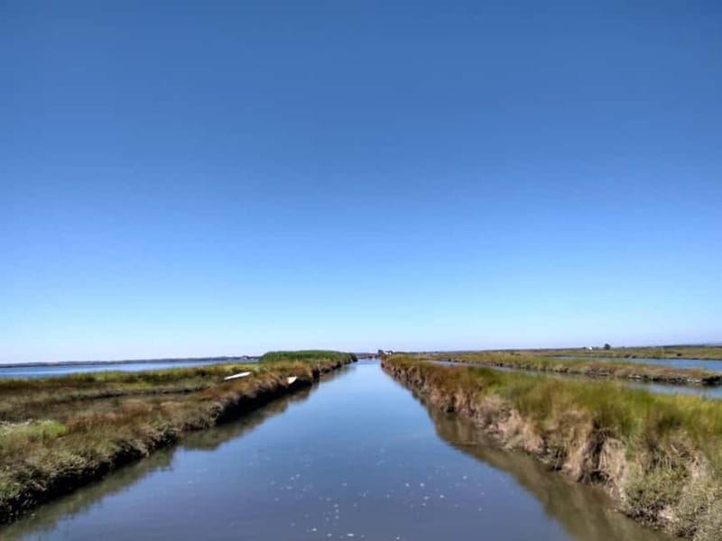 Industry or Nature Boat Tour | Speedboat - Passing the locks: why Aveiro’s floodgates matter