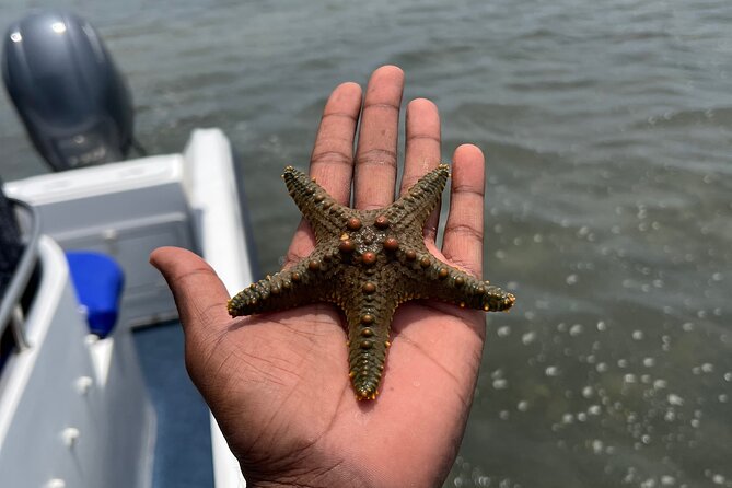 Island Escape day trip Speedboat Excursion in Maputo - Inhaca Island seafood lunch and the handicraft market stop