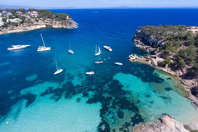Jet Boat Excursion in South West Coast of Mallorca - Price and Value: Why $84.66 Can Make Sense Here