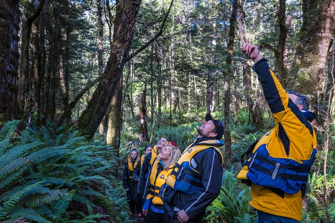 Jet Boat Journey through Fiordland National Park - Pure Wilderness - Getting back: more fun on the return upriver
