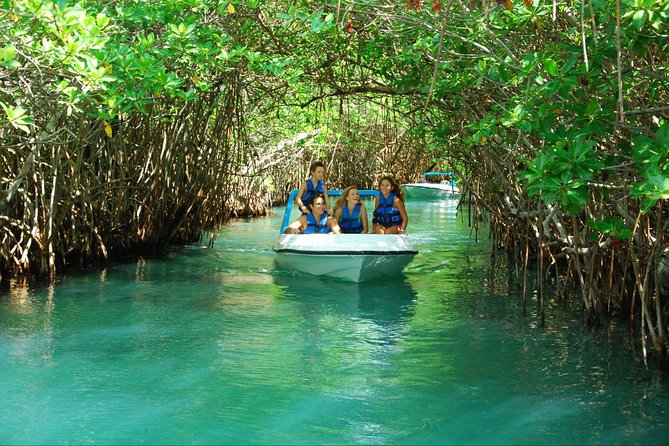 Jungle Tour In Cancun, drive a speedboat through the lagoon with your companion - Price and Value: The $55 Base vs. What to Budget Extra