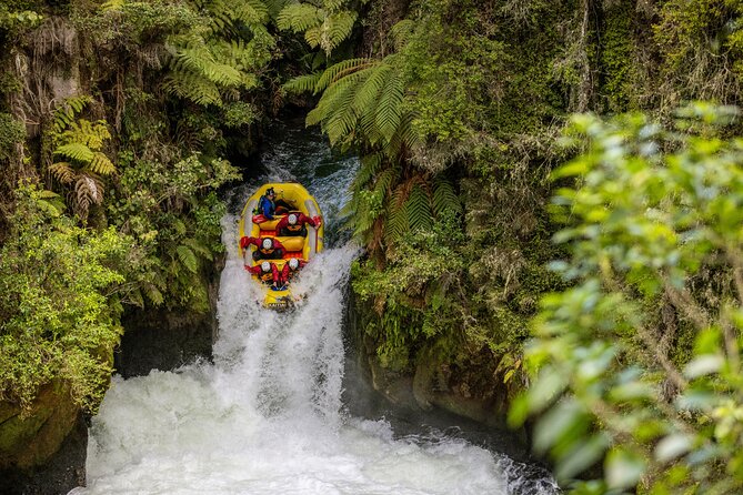 Katoa Jet Boat tour on Lake Rotorua - Price and Value: What $67.64 Gets You