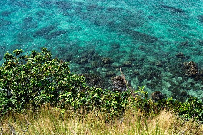 Khai Island Speedboat: Island Hopper Trip - Khai Nui Island: Snorkeling Gear and Coral Reef Gardens