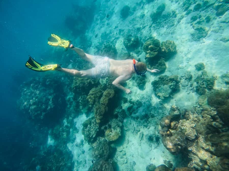 Khao Lak: Phi Phi & Bamboo Island Day Trip by Speedboat - Ko Phi Phi Don: snorkel + a quick feel for the island vibe