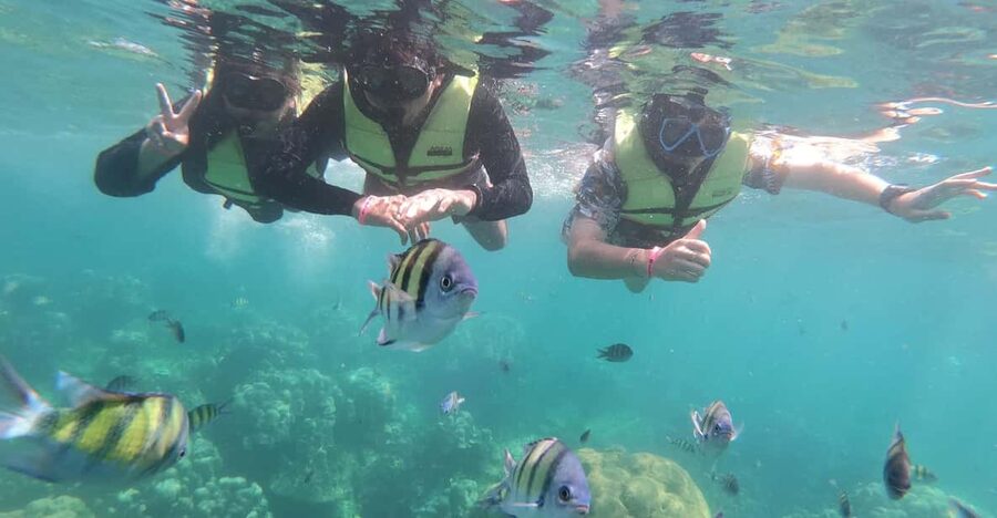 Ko Lanta: 4 Islands and Emerald Cave Day Tour by Speedboat - Who Should Book This Tour (and Who Might Want a Different Plan)