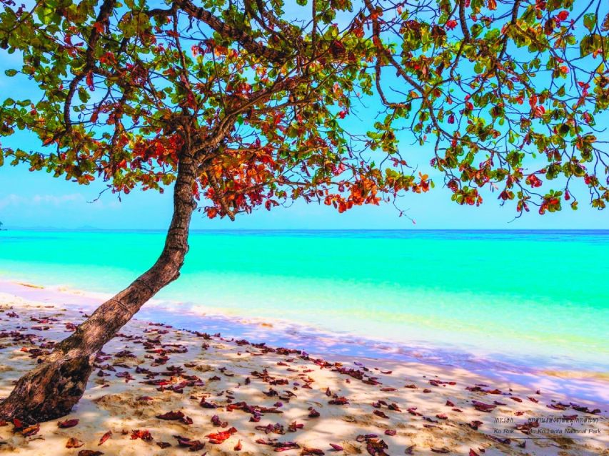Ko Lanta: Koh Rok & Koh Haa Snorkelling Tour by Speedboat - Key things to know before you go