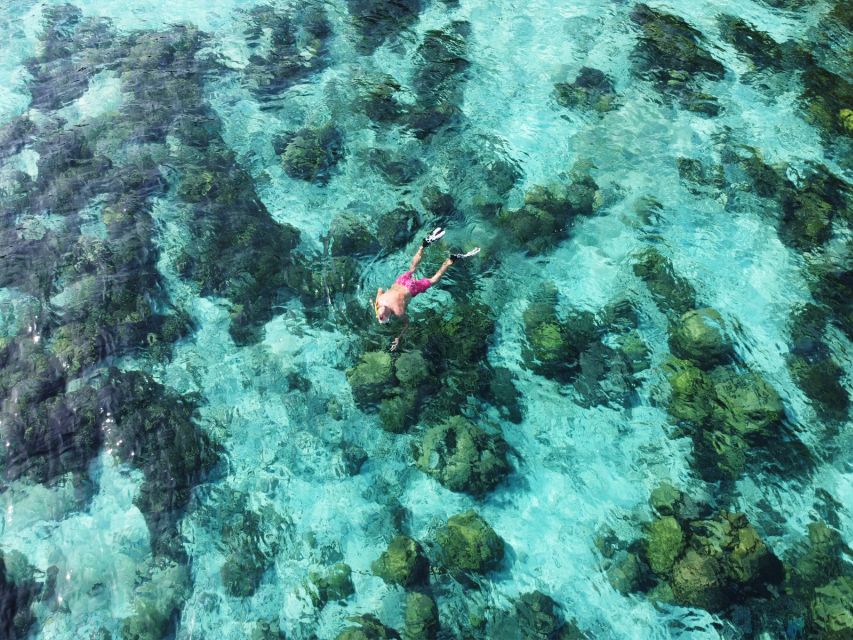 Ko Lanta: Koh Rok & Koh Haa Snorkelling Tour by Speedboat - Who this tour is best for (and who should skip it)