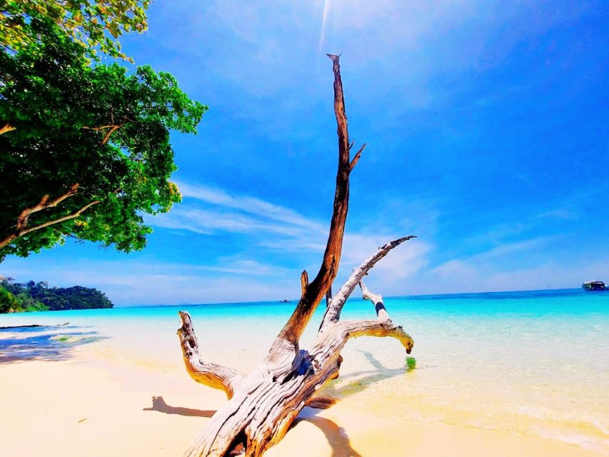 Ko Lanta: Koh Rok & Koh Haa Snorkelling Tour by Speedboat - Speedboat snorkel day to Koh Haa and Koh Rok’s reef spots