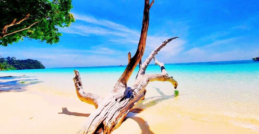Ko Lanta: Koh Rok & Koh Haa Snorkelling Tour by Speedboat - Koh Haa around 10:00: first snorkel stop and what to look for