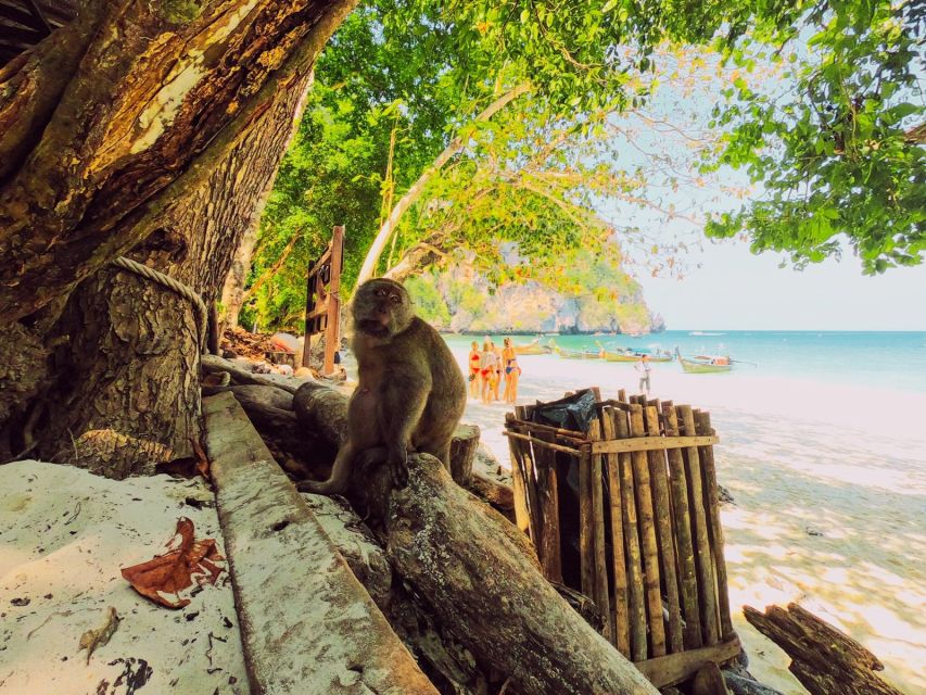 Ko Lanta: Phi Phi Day Trip by Speed Boat - Maya Bay quick stop and the practical photo plan