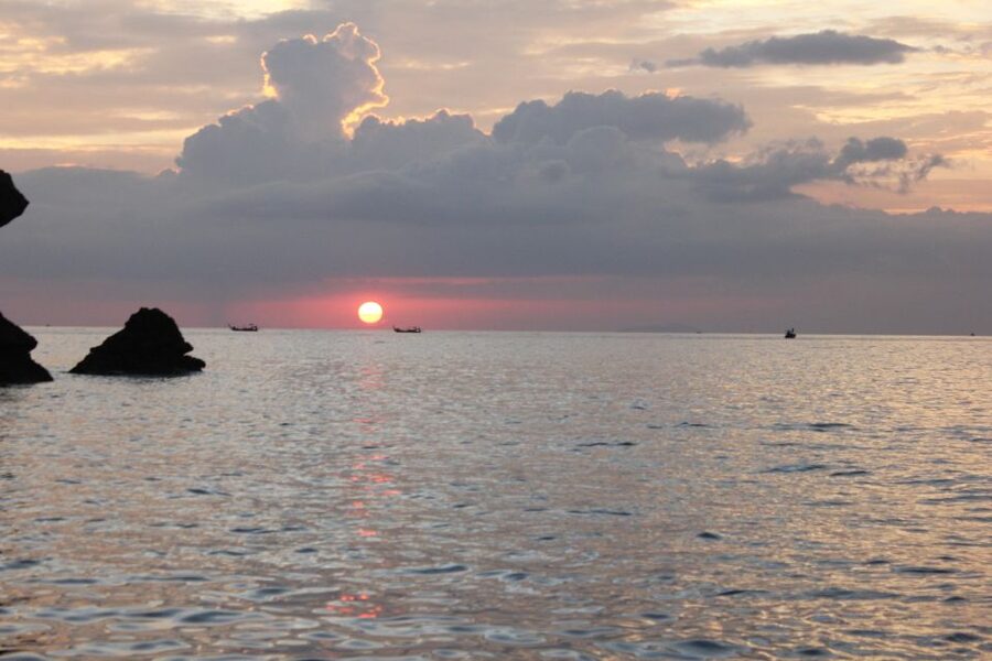 Ko Phi Phi Don: Speedboat Day Trip with Shark Snorkeling - Who This Tour Suits Best (and Who Should Think Twice)