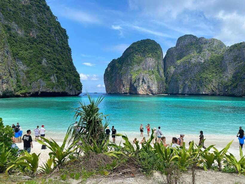 Ko Phi Phi Don: Speedboat Day Trip with Shark Snorkeling - Price and Value: Why $48 Often Works for Phi Phi