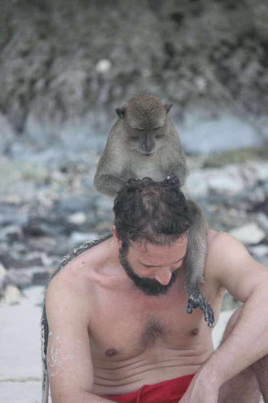 Ko Phi Phi Don: Speedboat Day Trip with Shark Snorkeling - Monkey Beach Photo Time: Cute Chaos, Great Timing