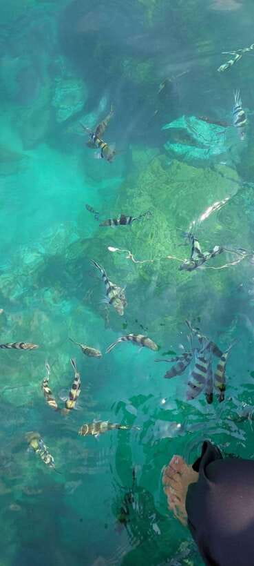 Ko Samui: Angthong National Marine Park by Speedboat - Mu Ko Ang Thong cruise time: the ride is part of the experience
