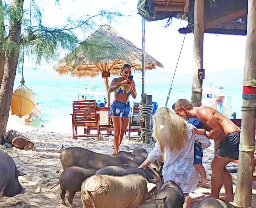 Ko Samui: Pig Island Snorkeling and Koh Tan Speedboat Tour - Group Size, Guides, and How Smooth It Feels
