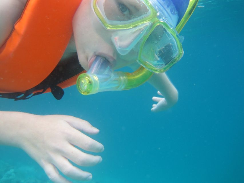 Koh Chang: Half-Day Snorkeling Adventure on a Speedboat - Lunch on Board: Thai Food, Fruit, and Soft Drinks