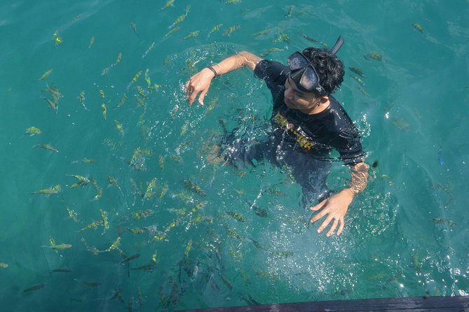 Koh Lanta: 4 Islands Tour by Speedboat with Snorkeling - Koh Ngai (14:00–15:00): A Final Swim Before You Return