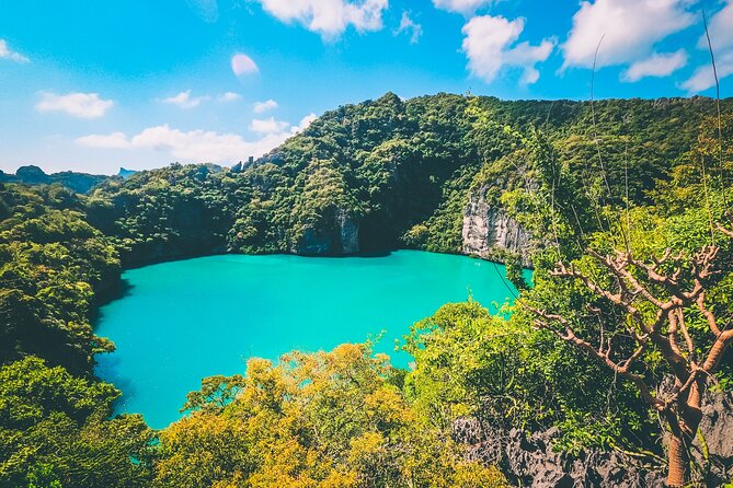 Koh Phaluai and Ang Thong Marine Park Tour by Speedboat from Koh Samui - Kayaking and Snorkeling: How to Get the Most From the Water Time
