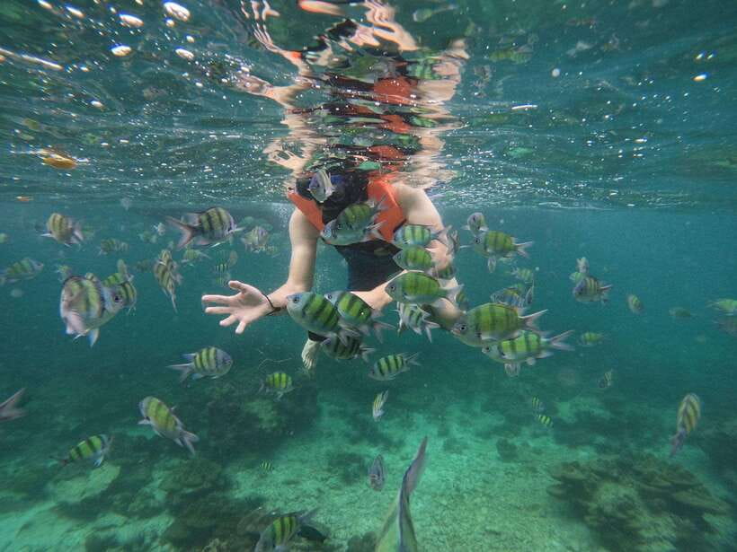 Koh Phi Phi: Early Morning Maya Bay, Bamboo Speedboat Tour - Nui Bay pass-by and tide/weather factors