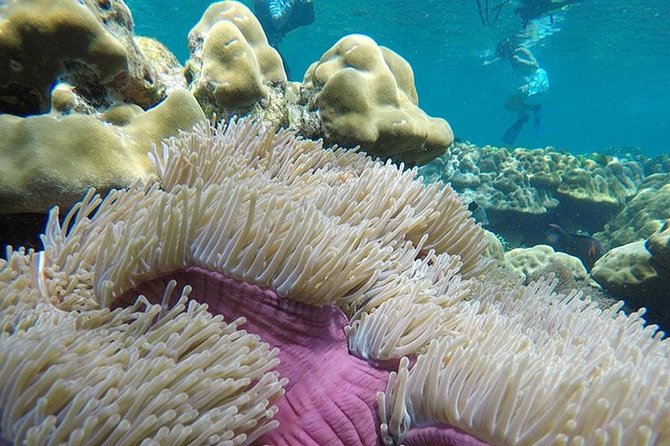 Koh Rok and Koh Haa Snorkeling Trip by Speedboat from Koh Lanta - Lunch and the small comforts that make the day work