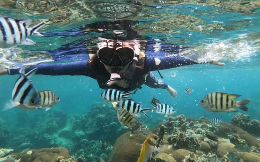 Koh Samui: Ang Thong Marine Park Day Tour by Speedboat - Key Things You’ll Remember from Ang Thong by Speedboat