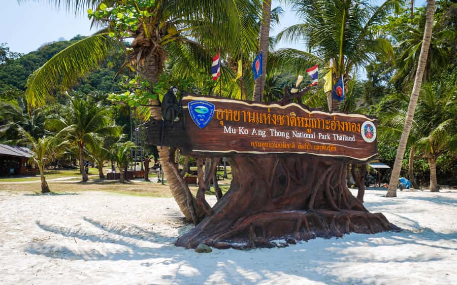Koh Samui: Ang Thong Marine Park Day Tour by Speedboat - Breakfast, Drinks, and the Fuel Plan Before the Sea