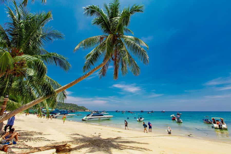 Koh Samui: Ko Tao & Nang Yuan Premium Tour Lunch & Transfer - Ko Tao lunch at Ko Tao Montra: the recharge you’ll be glad you scheduled