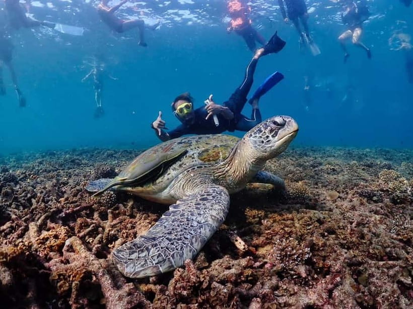 Koh Samui: Koh Tao and Koh Nang Yuan Speedboat Join Tour - Key Things I’d Mark on Your Map