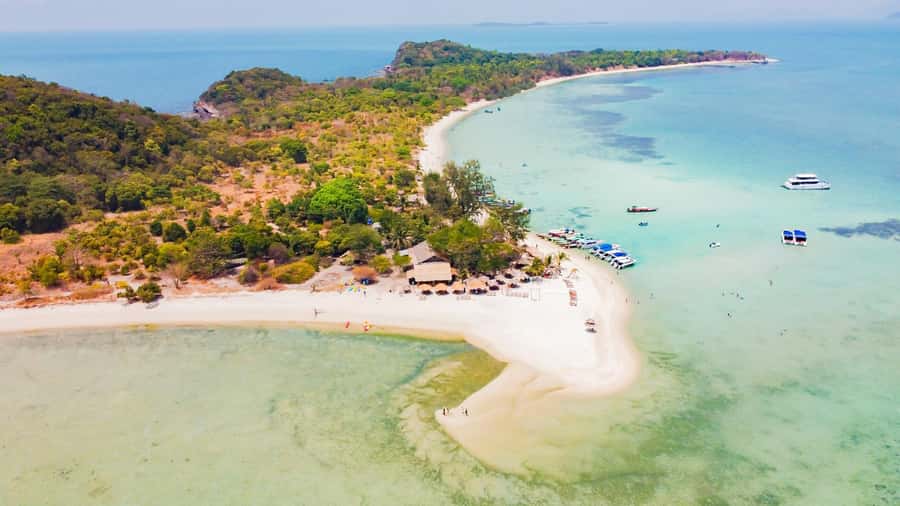 Koh Samui: Pig Island & Koh Tan Speedboat Tour with Lunch - Key highlights to know before you go