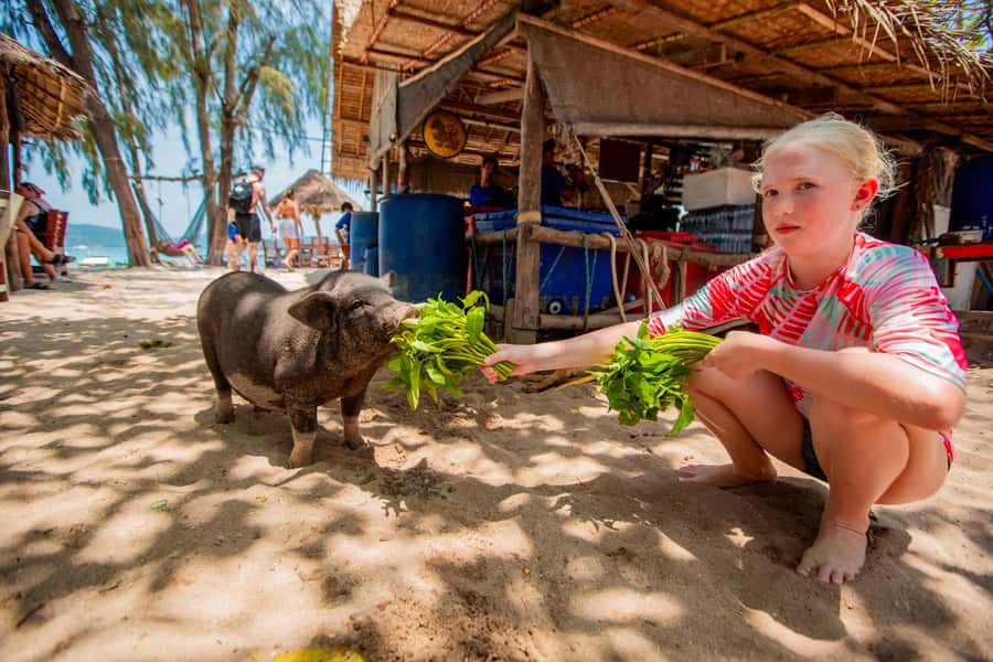 Koh Samui: Pig Island & Koh Tan Speedboat Tour with Lunch - Ko Madsum: the longest stop with walking, snorkeling, and kayaking time