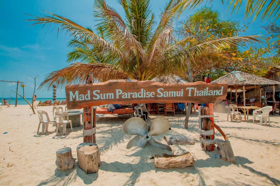 Koh Samui: Pig Island & Koh Tan Speedboat Tour with Lunch - Pig Island: feed the pigs, then enjoy the beach break