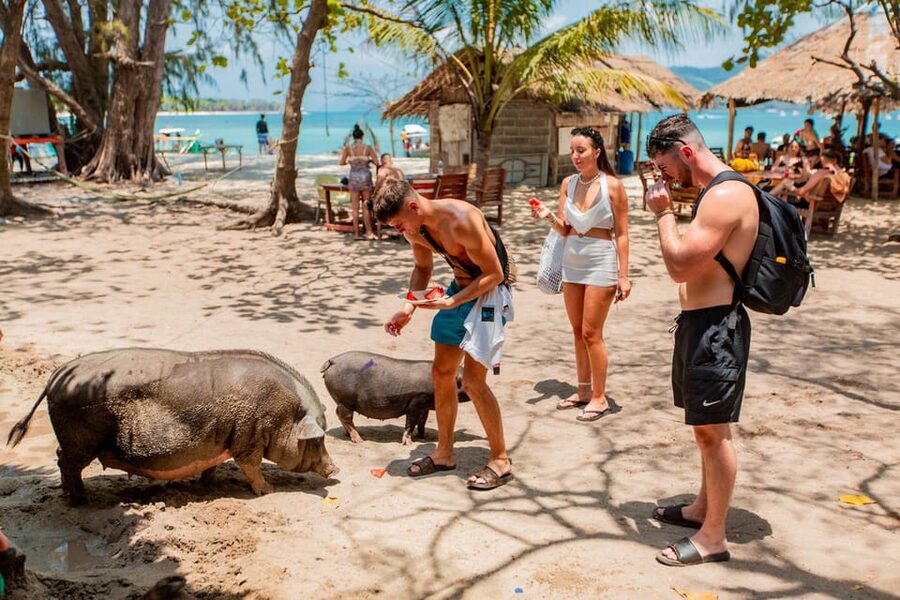 Koh Samui: Pig Island & Koh Tan Speedboat Tour with Lunch - The speedboat ride: fast fun, but it can rattle your body
