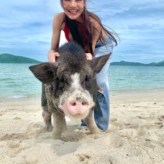 Koh Samui: Pig Island Tour by Speedboat with Snorkeling - The pacing and organization that make it feel easy
