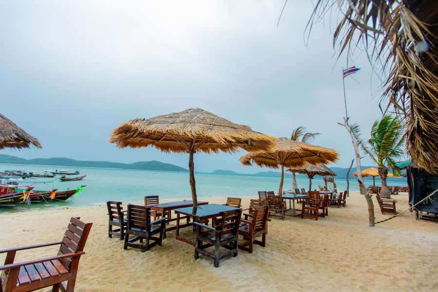 Koh Samui: Pink Dolphin Spotting & Pig Island Speedboat Tour - Who should book this, and who should skip it