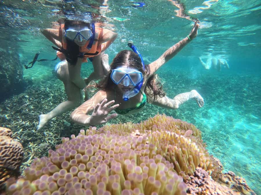 Koh Samui: Private Speedboat Charter – Custom Island Routes - Snorkeling Reality Check: Clear Water and Good Guidance