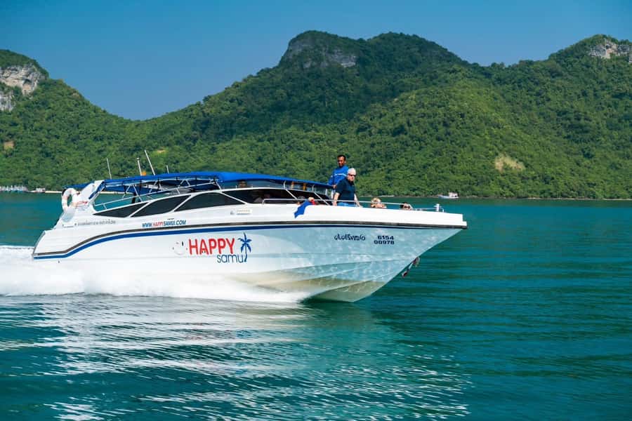 Koh Samui: Private Speedboat to Pig Island with Snorkeling - Private speedboat from Koh Samui: what it really changes