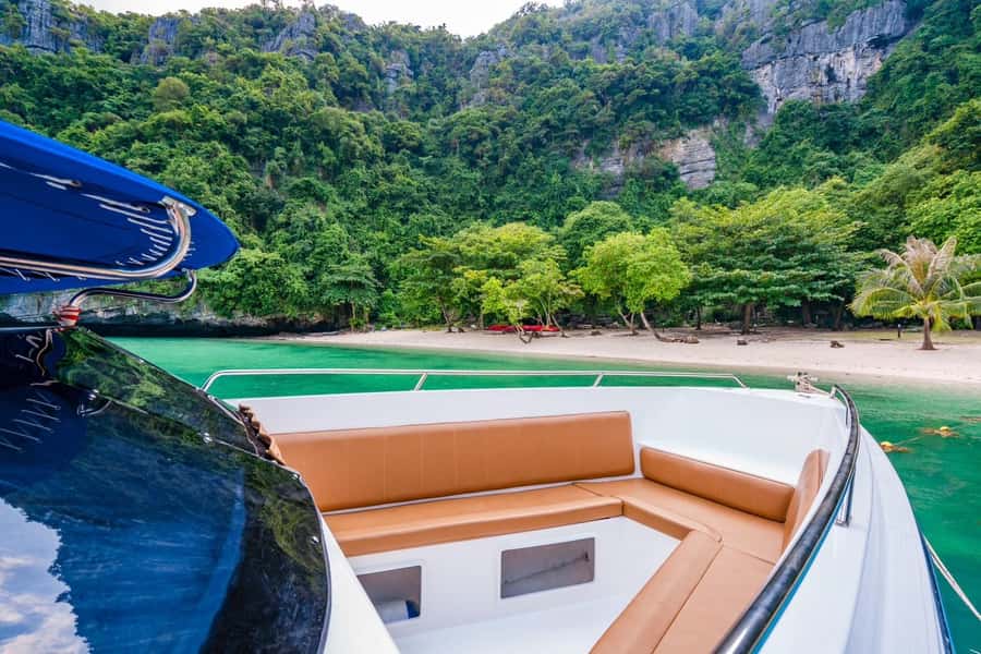 Koh Samui: Private Speedboat to Pig Island with Snorkeling - Snorkeling at Koh Tan: clear water and what to look for