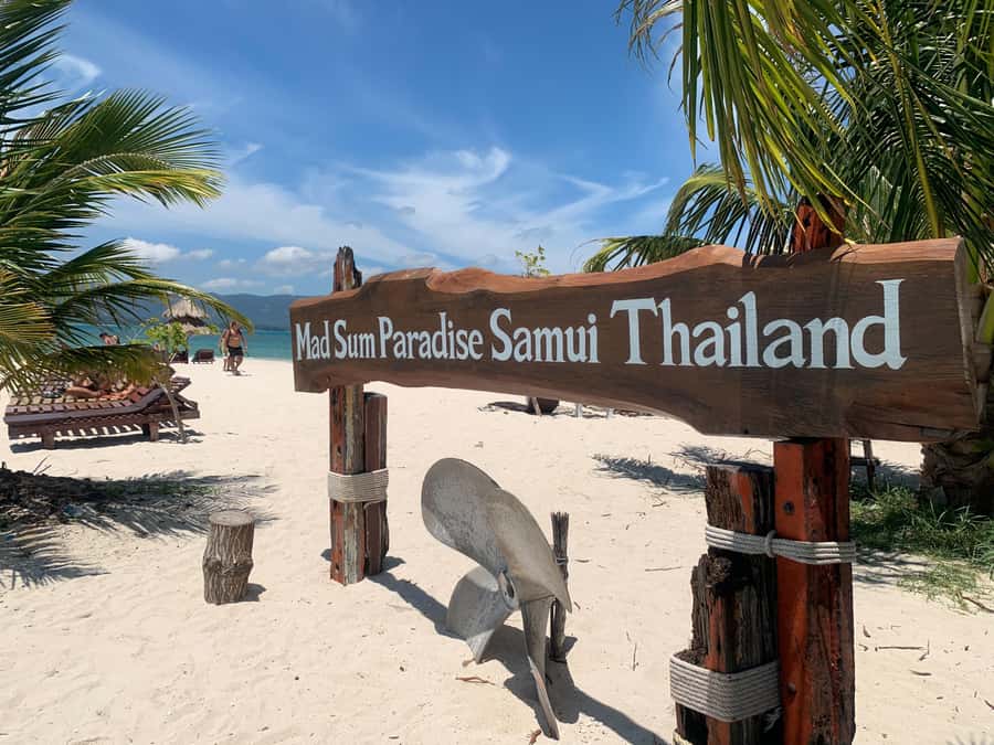 Koh Samui: Private Speedboat to Pig Island with Snorkeling - Price and value: $573 per group up to 8
