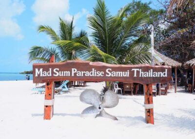 Koh Samui: Private Speedboat Tour to Koh Madsum and Koh Tan - Koh Madsum (Pig Island): beach time with playful pigs