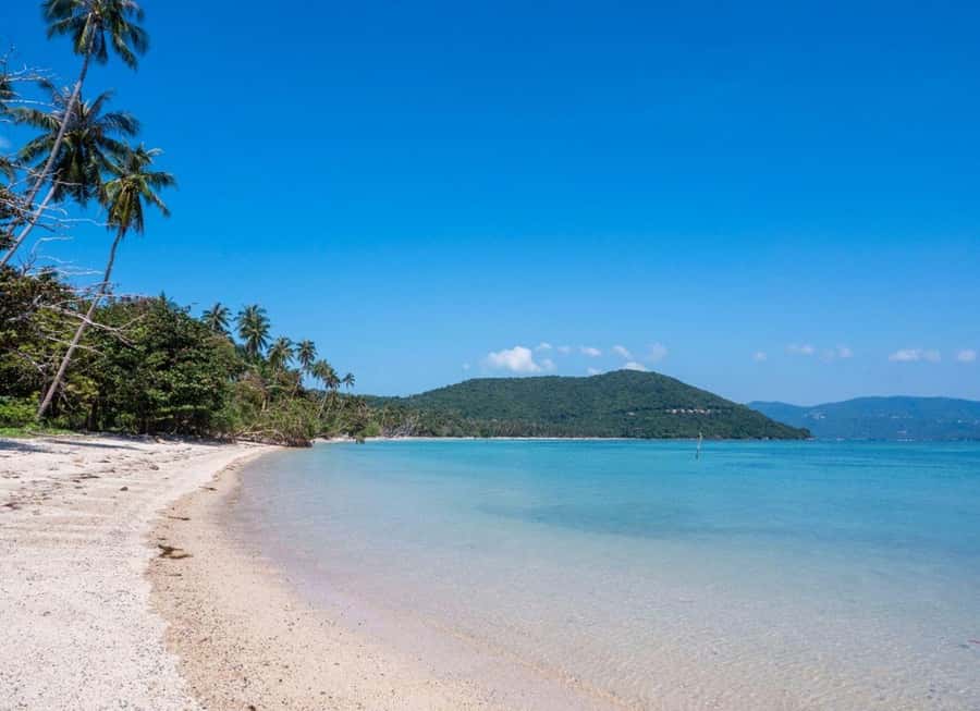 Koh Samui: Private Speedboat Tour to Koh Madsum and Koh Tan - Timing and pace: how the 4 hours actually feels