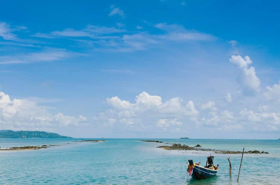 Koh Samui: Private Speedboat Tour to Koh Madsum and Koh Tan - Who should book this private Koh Samui speedboat tour