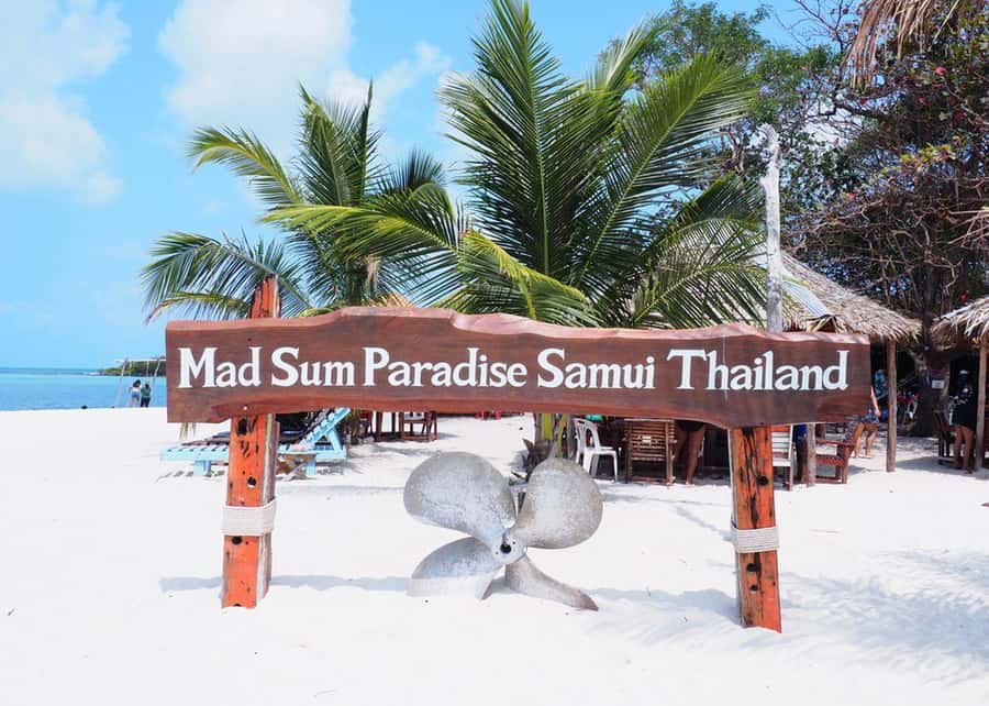 Koh Samui: Private Speedboat Tour to Koh Madsum and Koh Tan - Koh Madsum (Pig Island): beach time with playful pigs