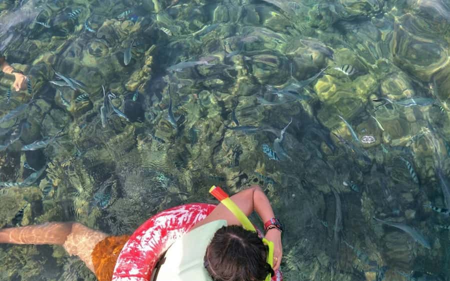 Koh Samui: Snorkeling and Kayaking by Speedboat - Boat, timing, and what “6 hours” really means