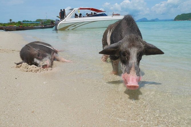 Koh Tan and Koh Madsum Snorkeling Trip By Speedboat From Koh Samui - Who This Tour Fits Best (and Who Should Skip It)