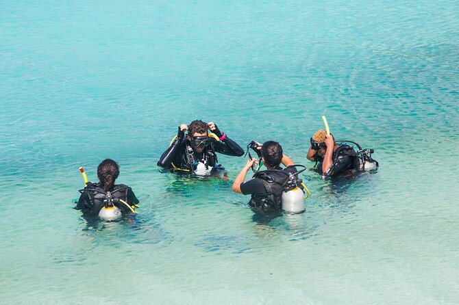 Koh Tao and Koh Nang Yuan by Speedboat - The Koh Phangan Connection: Not Just a Name on the Map